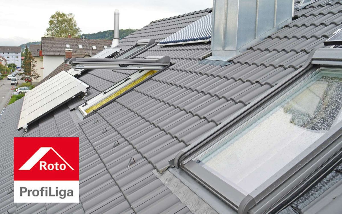 Dachfenster / Bühler Holzbau GmbH / Wehr